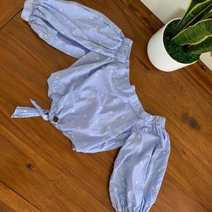 Blue striped floral crop top